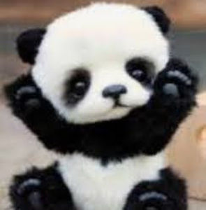 Meet your Posher, Azalea